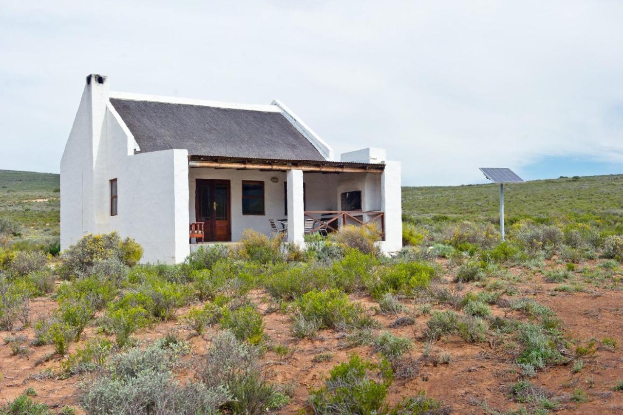 African Game Lodge Монтегю Экстерьер фото